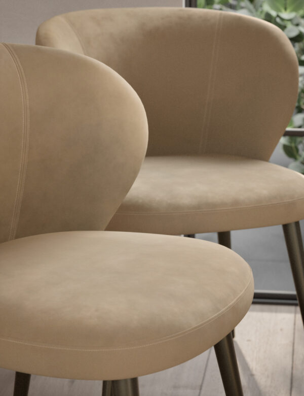Set of 2 Molly Curve Dining Chairs Set of 2 Molly Curve Dining Chairs