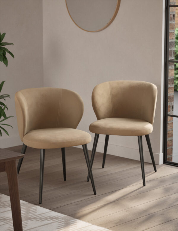 Set of 2 Molly Curve Dining Chairs Set of 2 Molly Curve Dining Chairs