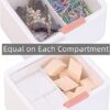 Tecbeauty 2 Slot Cotton Swab Ball Qtip Holder Jar Plastic Container Dispenser Box with Hinged Lid for Bathroom Home Storage Organizer