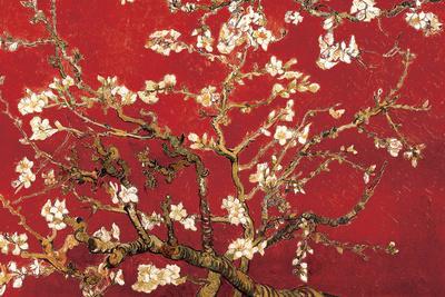 Almond Blossom - Red - Poster, 36x24 Almond Blossom - Red - Poster, 36x24