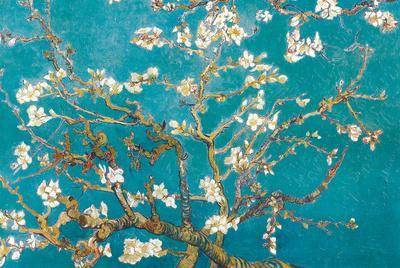 Almond Branches in Bloom, San Remy, c.1890 - Poster, 36x24 Almond Branches in Bloom, San Remy, c.1890 - Poster, 36x24