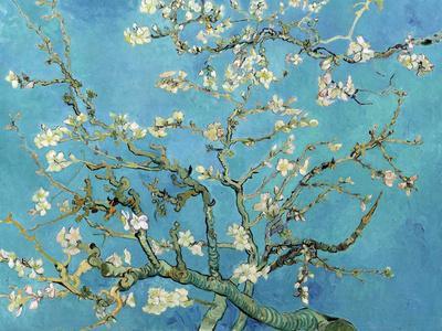 Almond Branches in Bloom, San Remy, c.1890 - Wall Art Print, 32x24 Almond Branches in Bloom, San Remy, c.1890 - Wall Art Print, 32x24