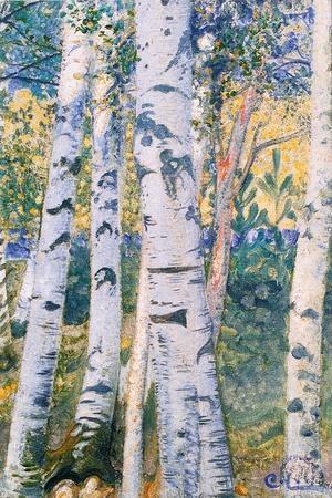 Birch Trees, 1910 - Giclee Print, 12x18 Birch Trees, 1910 - Giclee Print, 12x18