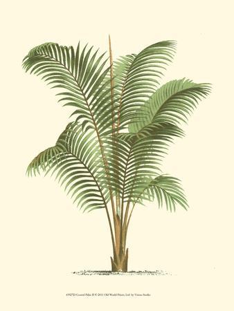 Coastal Palm II - Wall Art Print, 12x16 Coastal Palm II - Wall Art Print, 12x16