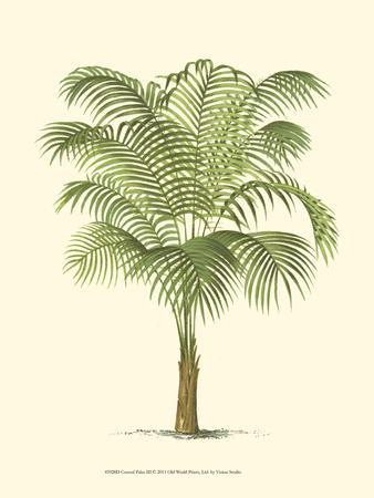Coastal Palm III - Wall Art Print, 12x16 Coastal Palm III - Wall Art Print, 12x16