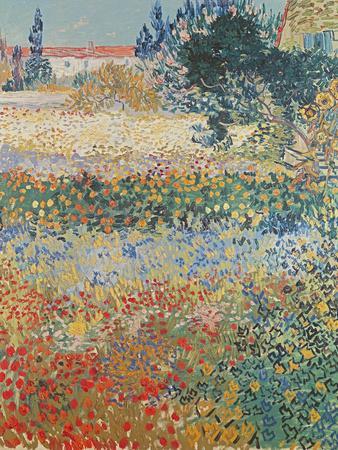 Garden in Bloom Arles, c.1888 - Giclee Print, 12x16 Garden in Bloom Arles, c.1888 - Giclee Print, 12x16