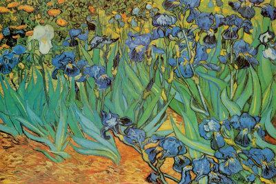 Garden of Irises (Les Irises, Saint-Remy), c. 1889 - Poster, 36x24 Garden of Irises (Les Irises, Saint-Remy), c. 1889 - Poster, 36x24