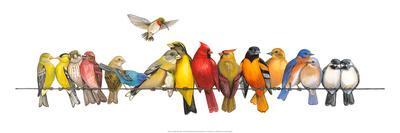 Large Bird Menagerie - Wall Art Print, 24x8 Large Bird Menagerie - Wall Art Print, 24x8