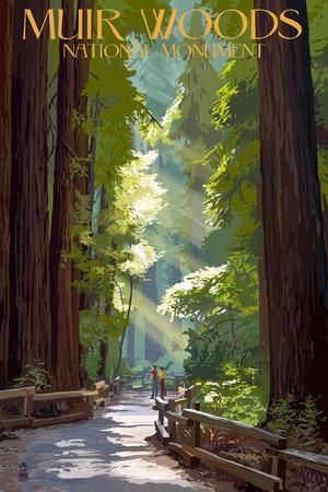 Muir Woods National Monument, California - Pathway - Wall Art Print, 12x18 Muir Woods National Monument, California - Pathway - Wall Art Print, 12x18