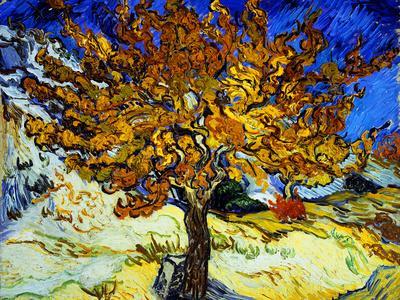 Mulberry Tree, c.1889 - Giclee Print, 16x12 Mulberry Tree, c.1889 - Giclee Print, 16x12