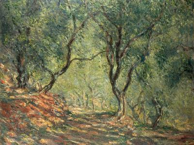 Olive Grove in the Moreno Garden, 1884 - Giclee Print, 16x12 Olive Grove in the Moreno Garden, 1884 - Giclee Print, 16x12