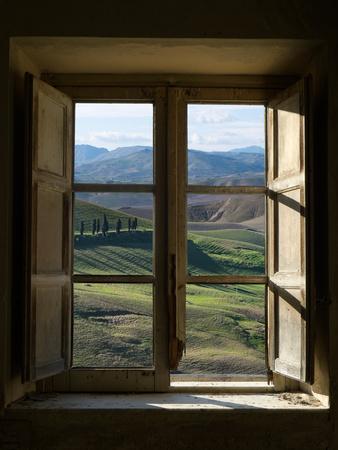 Outside View of Cypress Trees and Green Hills Through a Shabby Windows - Photographic Print, 12x16 Outside View of Cypress Trees and Green Hills Through a Shabby Windows - Photographic Print, 12x16