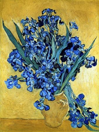 Vase of Irises Against a Yellow Background, c.1890 - Giclee Print, 12x16 Vase of Irises Against a Yellow Background, c.1890 - Giclee Print, 12x16