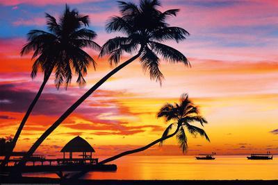 Velavary Sunset Art Print Poster - Poster, 36x24 Velavary Sunset Art Print Poster - Poster, 36x24