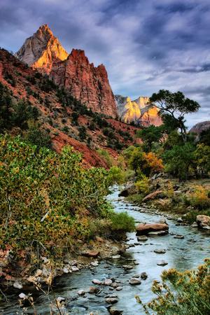 Virgin River Morning View, Zion National Park, Utah - Photographic Print, 8x12 Virgin River Morning View, Zion National Park, Utah - Photographic Print, 8x12