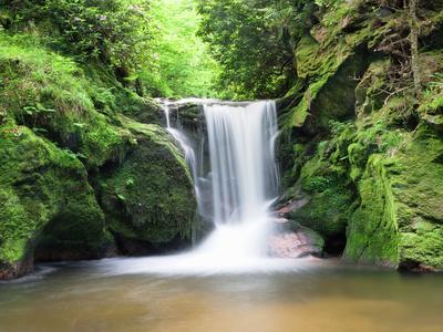 Water in a Forest, Geroldsau Waterfall, Black Forest, Baden-Wurttemberg, Germany - Photographic Print, 12x9 Water in a Forest, Geroldsau Waterfall, Black Forest, Baden-Wurttemberg, Germany - Photographic Print, 12x9