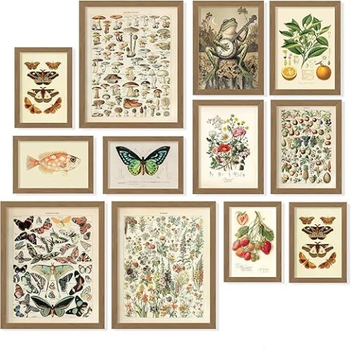 97 Decor 12 Pcs Cottagecore Wall Art Set - Vintage Posters For Room Aesthetic, Botanical Gallery Wall Prints For Bedroom, Cottage Core Room Decor...