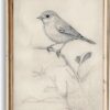 uniro Vintage Bird Sketch Wall Art Prints Farmhouse Decor Sparrow on a Branch Sketch Canvas Oil Painting Antique Bird Neutral Vintage Artwork...